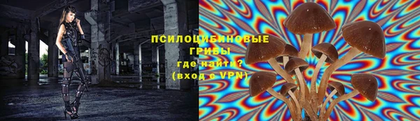 метадон Медногорск