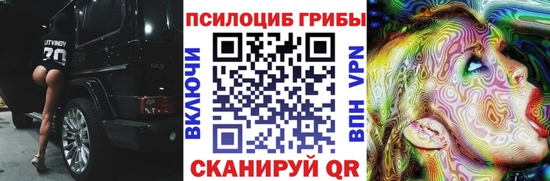 МЕГА   где можно купить   Дегтярск  Галлюциногенные грибы GOLDEN TEACHER 